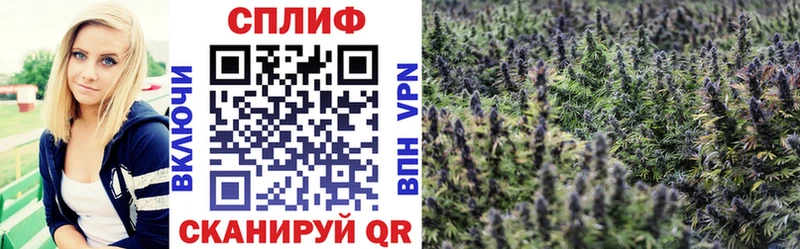 Купить наркотик аптеки Кирово-Чепецк Канабис  БУТИРАТ  Псилоцибиновые грибы  COCAIN  МЕФ  АМФ 