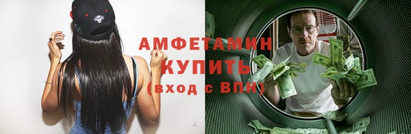 молекула духа Богданович