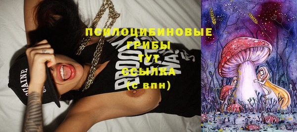 сатива Белокуриха
