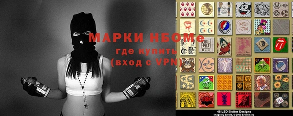 сатива Белокуриха