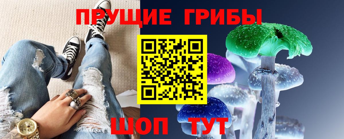 Псилоцибиновые грибы Psilocybine cubensis  Вход с VPN  Кирово-Чепецк 